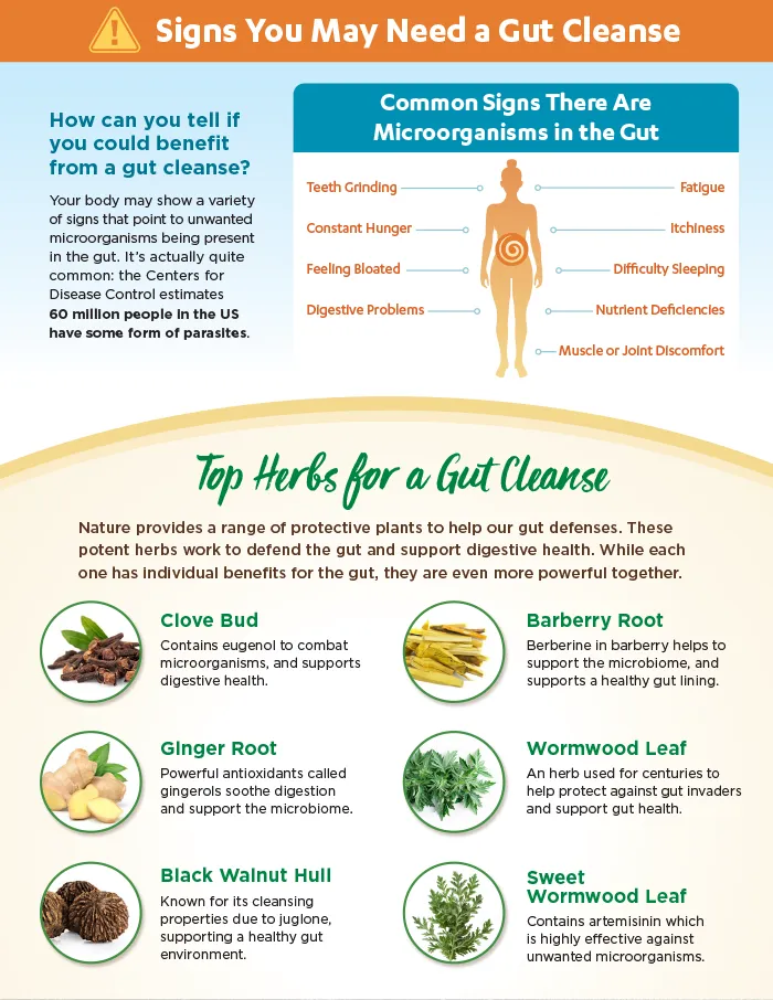 Infographic: Signs you may need a gut cleanse, and top herbs for a gut cleanse